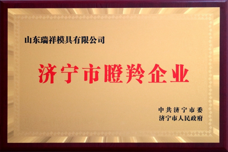 喜訊-瑞祥模具入選濟寧市“瞪羚企業”